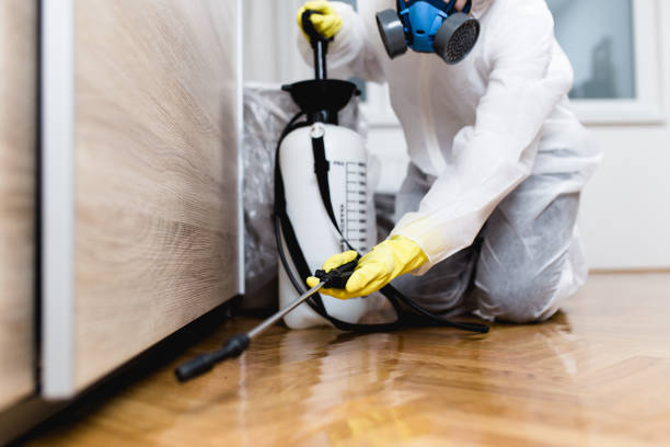 Best Commercial Pest Control Services  in North Les, AK