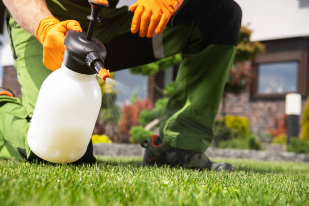 Trusted North Lakes, AK Pest Control Experts