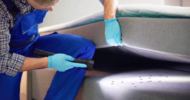 Best Pest Inspection Near Me  in North Les, AK