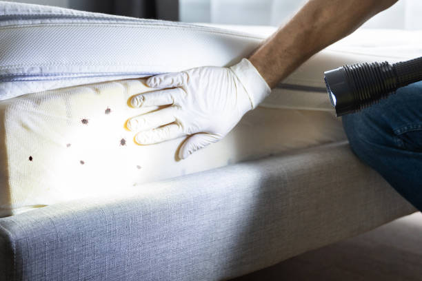 Best Pest Removal Services  in North Les, AK