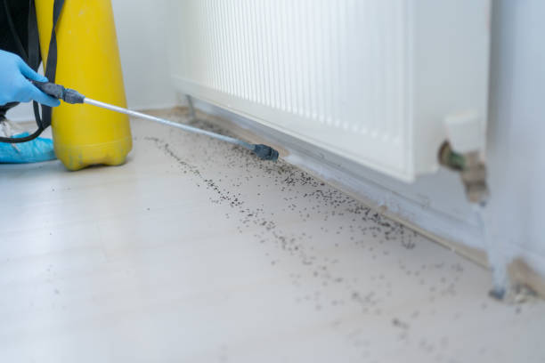 Best Pest Control Near Me  in North Les, AK