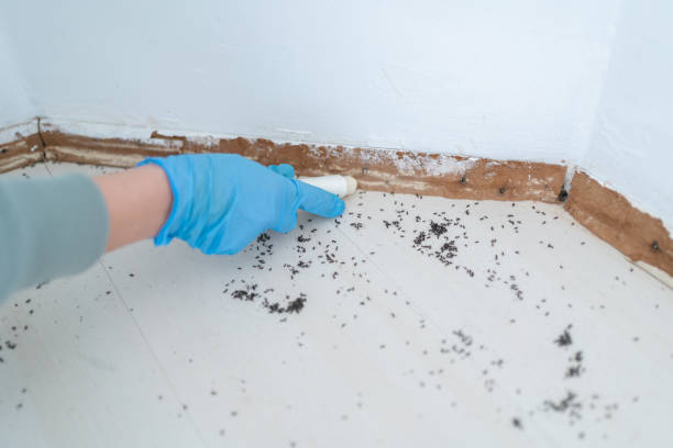 Best Pest Prevention Services  in North Les, AK